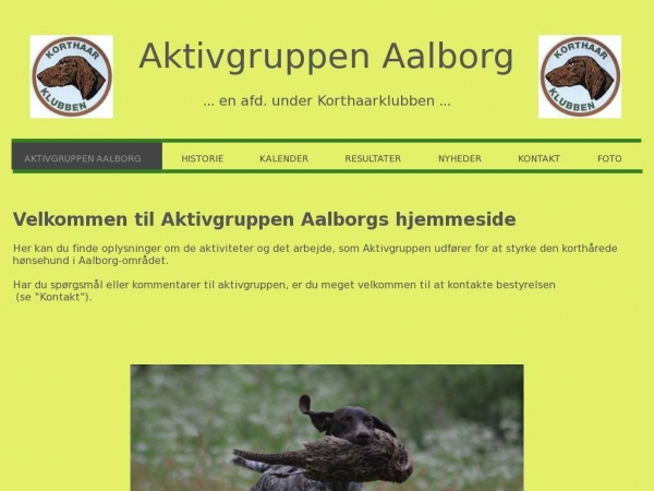 aktivgruppenaalborg.dk