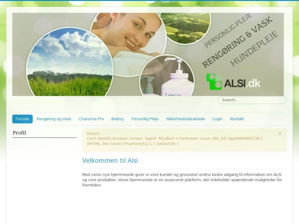 alsi.dk