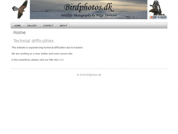 birdphotos.dk