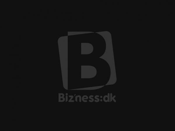 bizness.dk