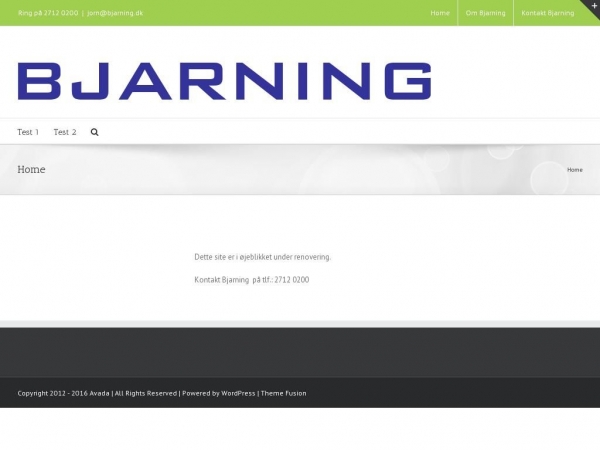 bjarning.dk