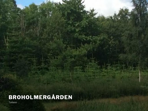 broholmergaarden.dk