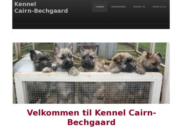 cairn-bechgaard.dk
