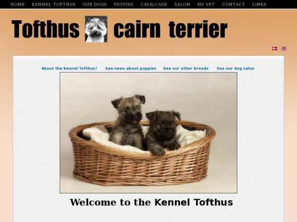 cairnterrier.dk