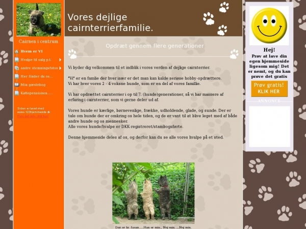 cairnterrierhvalpe.dk