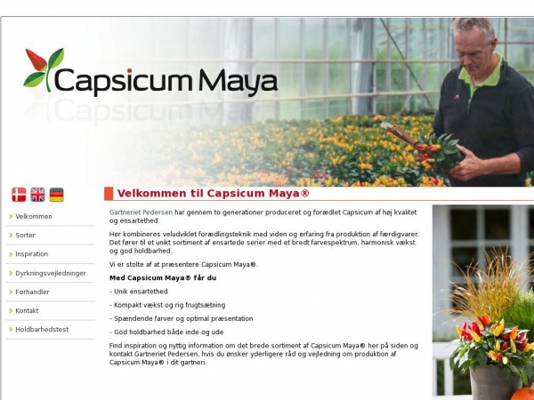 capsicum-maya.dk