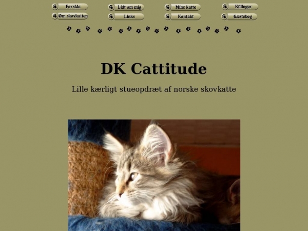 cattitude.dk