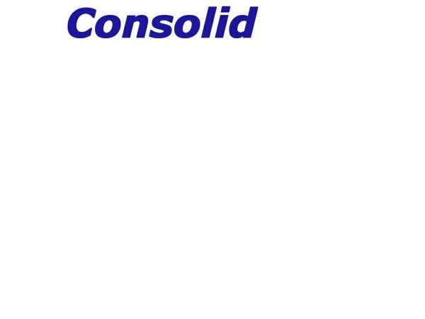 consolid.dk