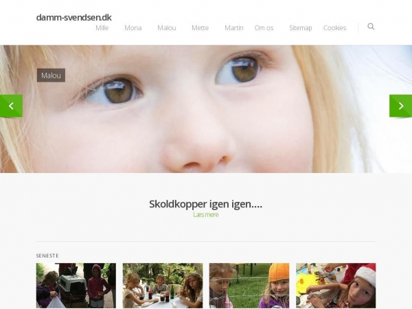damm-svendsen.dk