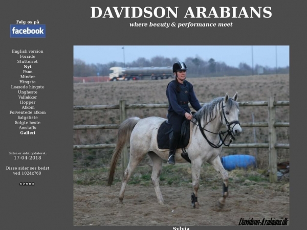 davidson-arabians.dk