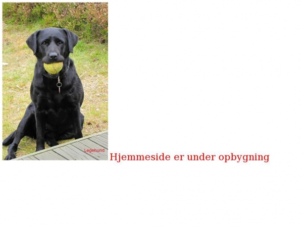 erikgreve.dk