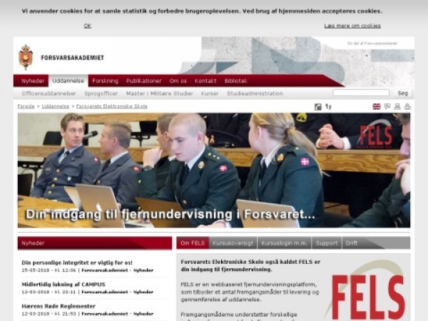 fels.dk