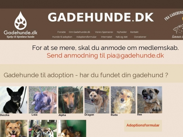 gadehunde.dk