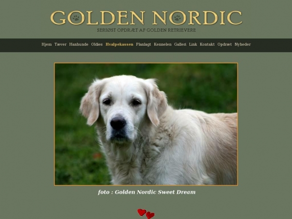 goldennordic.dk