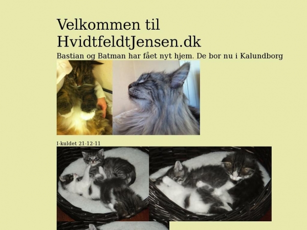 hvidtfeldtjensen.dk