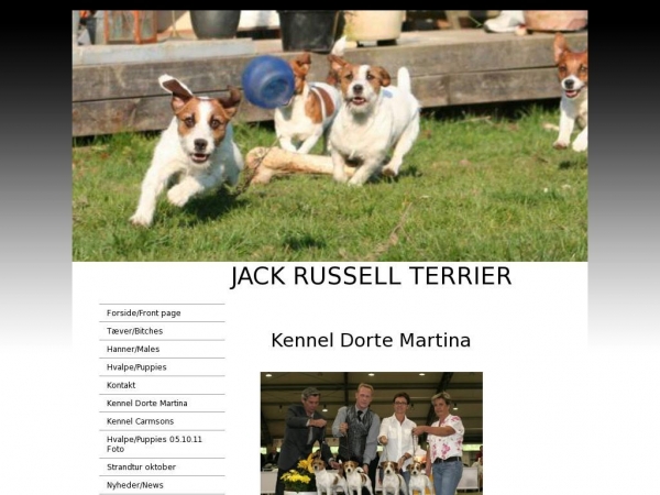 jackrussellterrier.dk