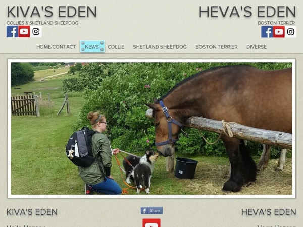 kivas.dk