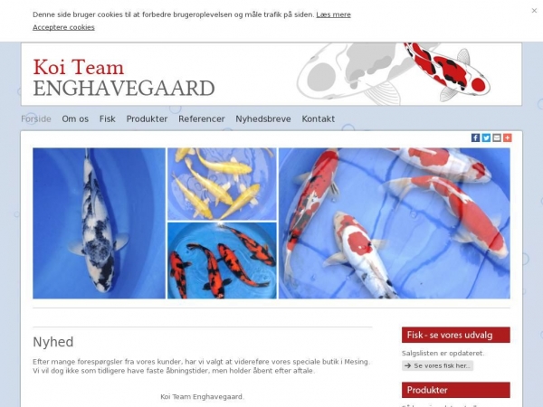 koi-team-enghavegaard.dk