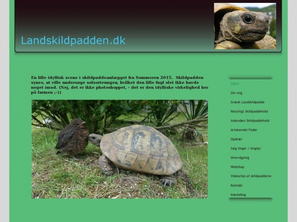 landskildpadden.dk