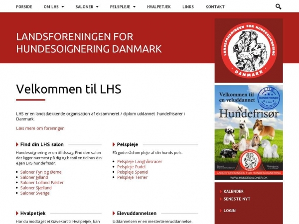 lhs-dk.dk