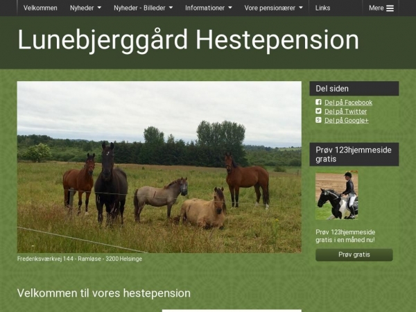 lunebjerggaard-hestepension.dk