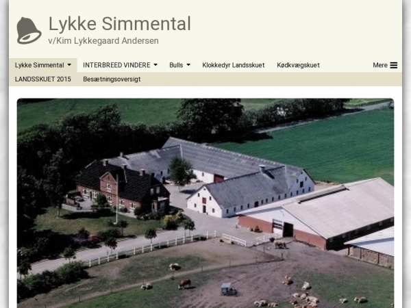 lykkesimmental.dk