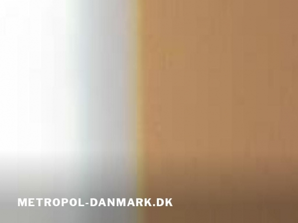 metropol-danmark.dk