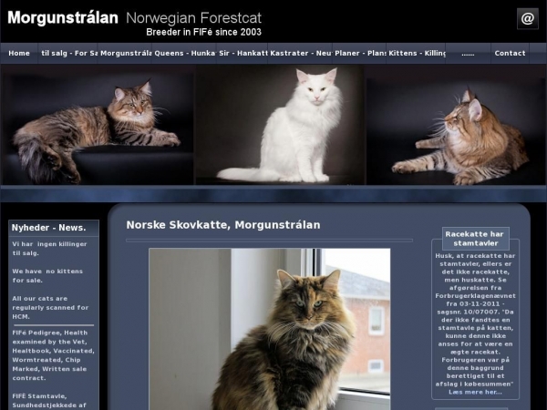 morgunstralan.dk