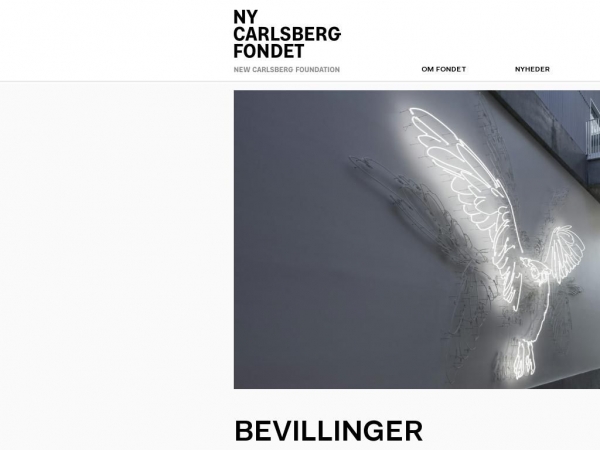 ny-carlsbergfondet.dk