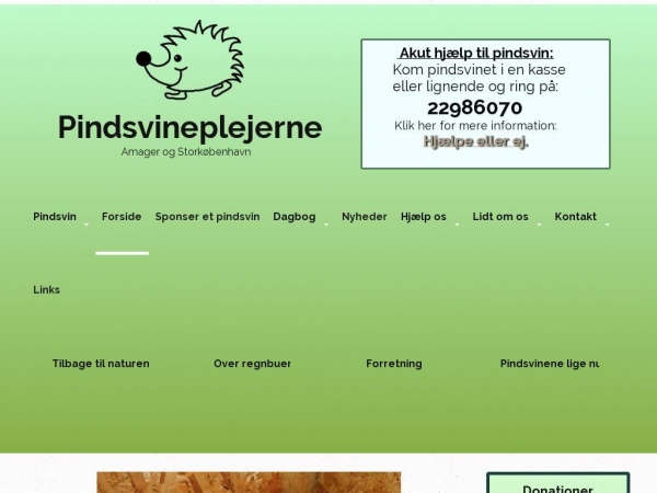 pindsvineplejerne.dk