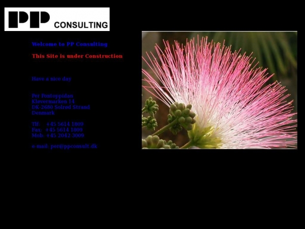 ppconsult.dk