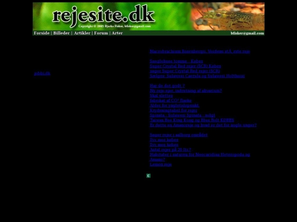 rejesite.dk