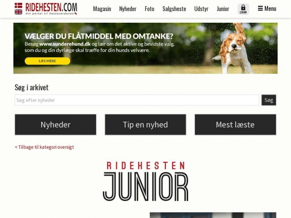 ridehestenjunior.dk