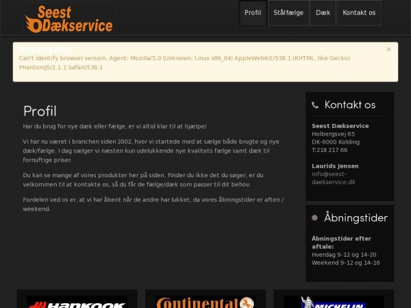 seest-daekservice.dk