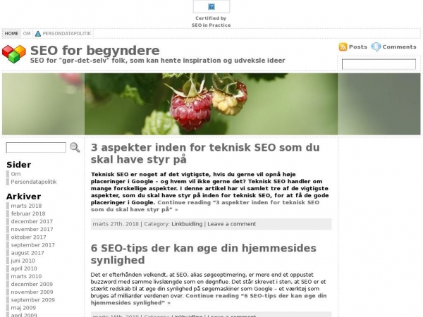 seo-for-begyndere.dk