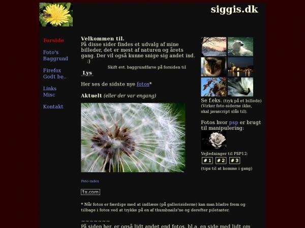 siggis.dk