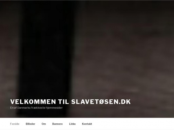 slavetoesen.dk