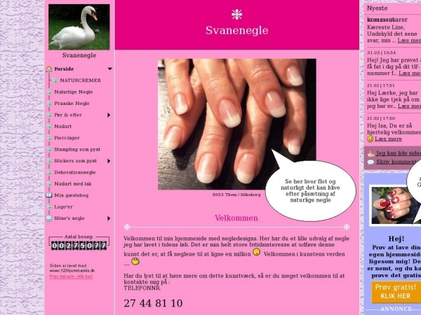 svanenegle.dk