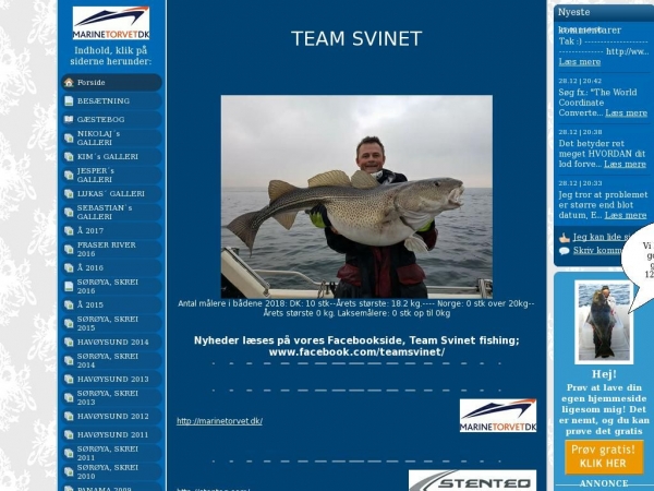 teamsvinet.dk