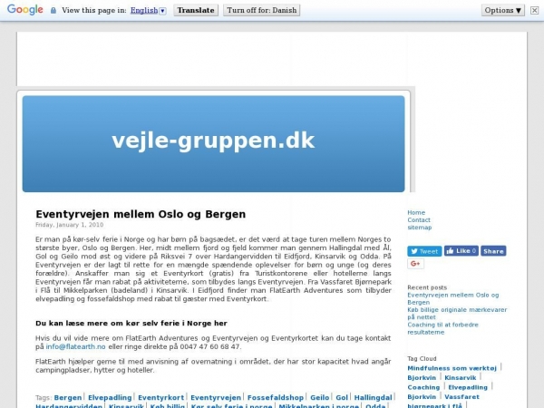 vejle-gruppen.dk