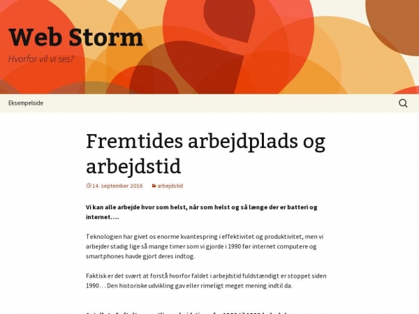 web-storm.dk