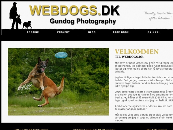 webdogs.dk