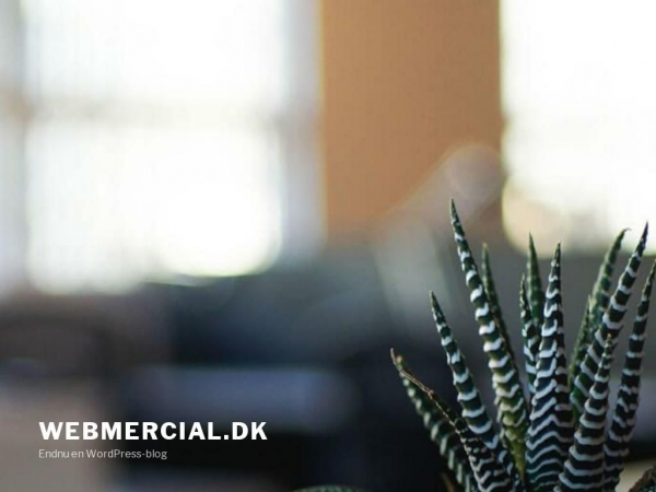 webmercial.dk