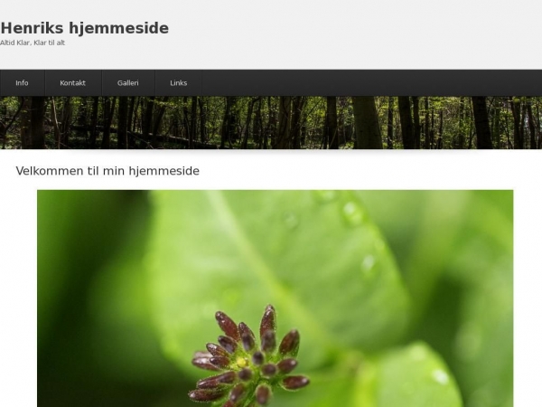 wissing-net.dk