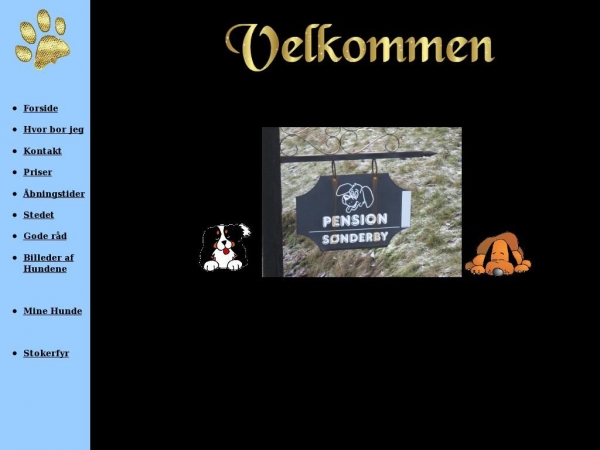 xn--pensionsnderby-xqb.dk