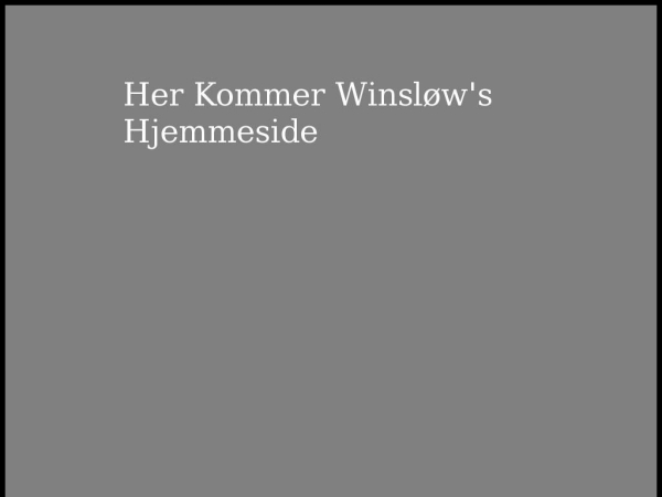 xn--winslw-fya.dk