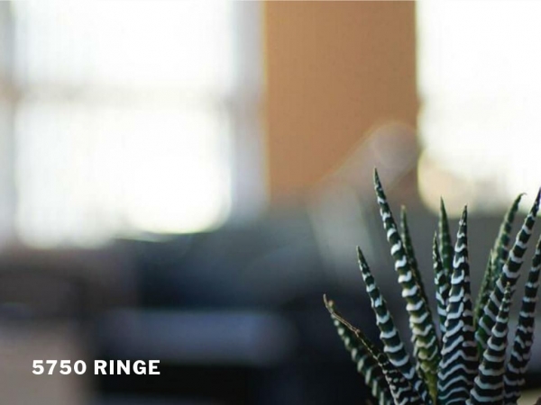 5750ringe.dk