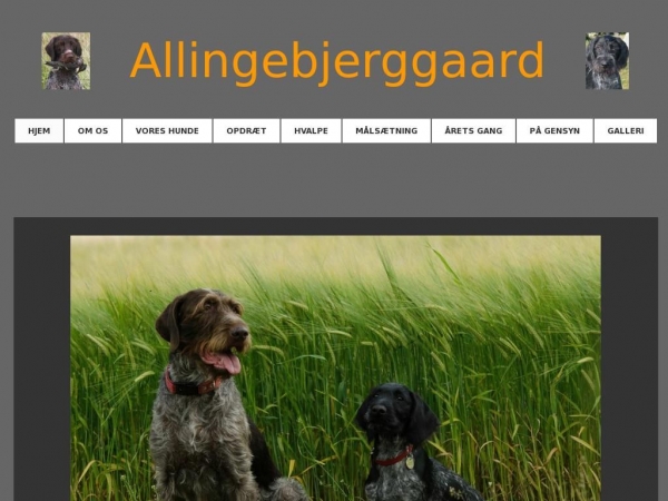 allingebjerggaard.dk