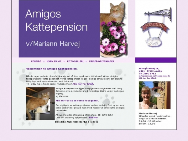 amigos-kattepension.dk