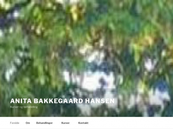 anitabakkegaardhansen.dk